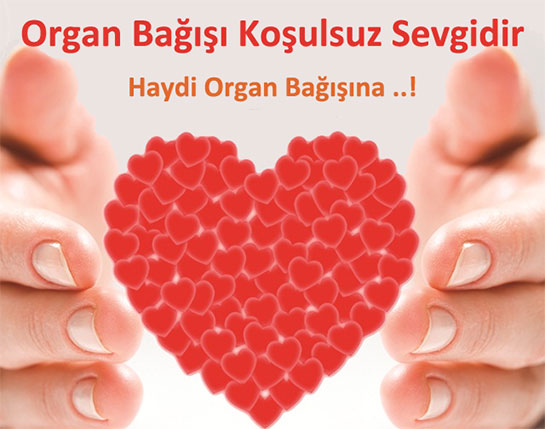 Doku Ve Organ Bağışı